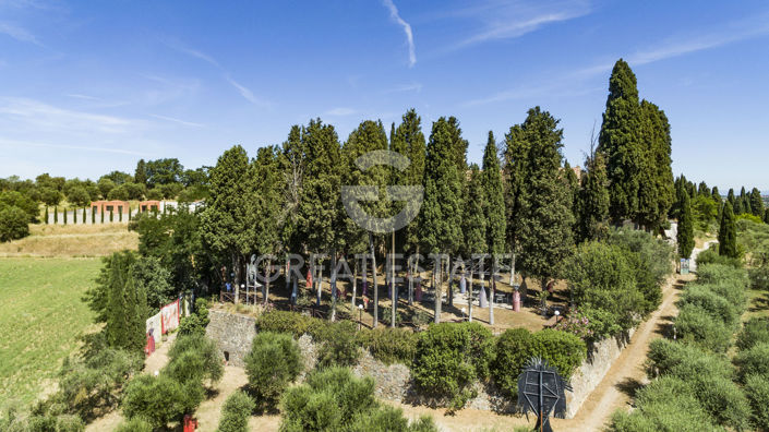 Image No.3-7 Bed Country House for sale