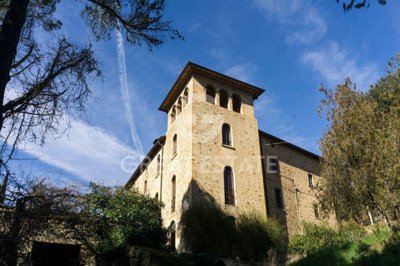 Photo_13