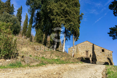 Photo_14