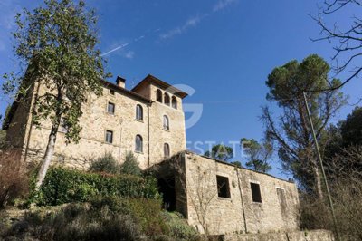 Photo_4