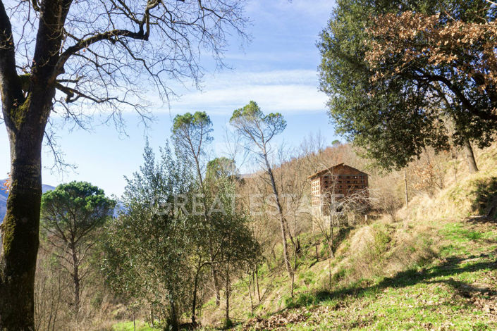 Image No.45-Maison de campagne de 8 chambres à vendre à Città di Castello