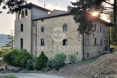 Photo_7
