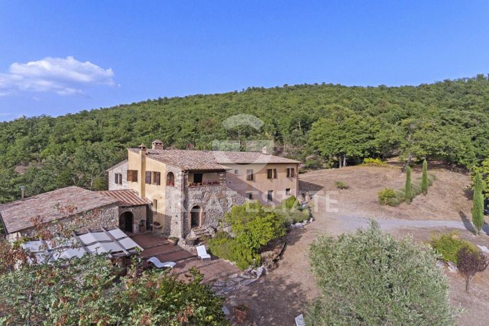 Image No.7-6 Bed Country House for sale