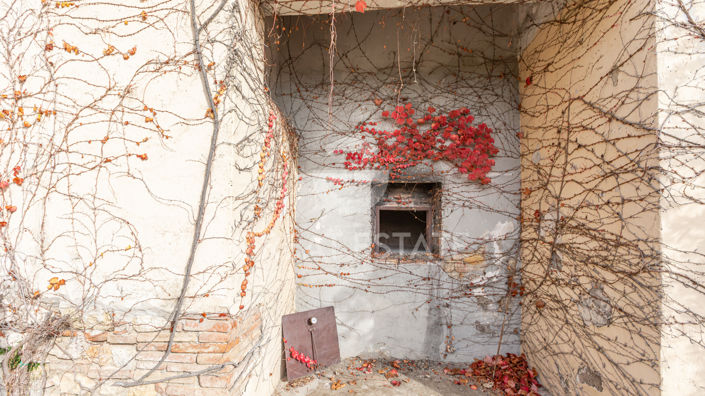 Image No.23-5 Bed Country House for sale