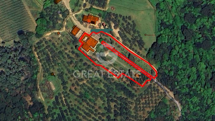 Image No.2-floorplan-2