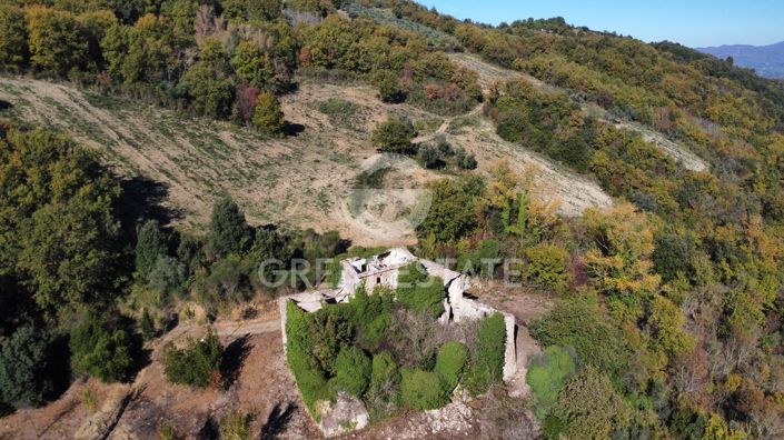 Image No.11-12 Bed Country House for sale