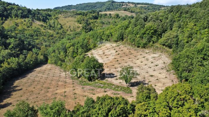 Image No.13-12 Bed Country House for sale