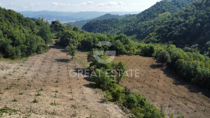 Image No.14-12 Bed Country House for sale