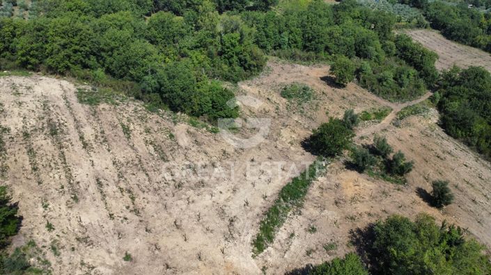 Image No.16-12 Bed Country House for sale