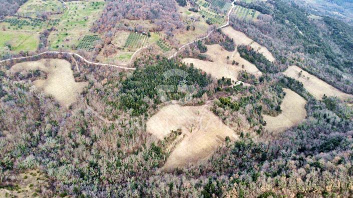 Image No.17-12 Bed Country House for sale