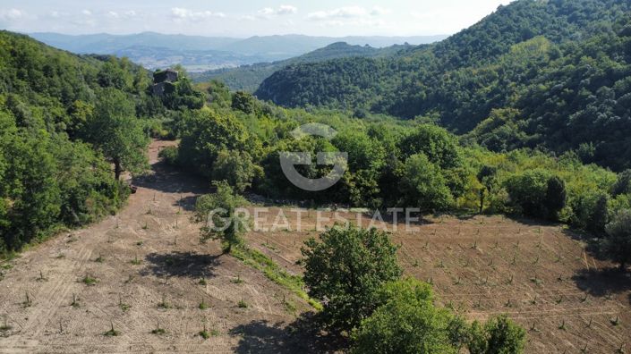 Image No.20-12 Bed Country House for sale