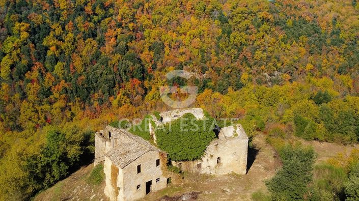 Image No.3-12 Bed Country House for sale