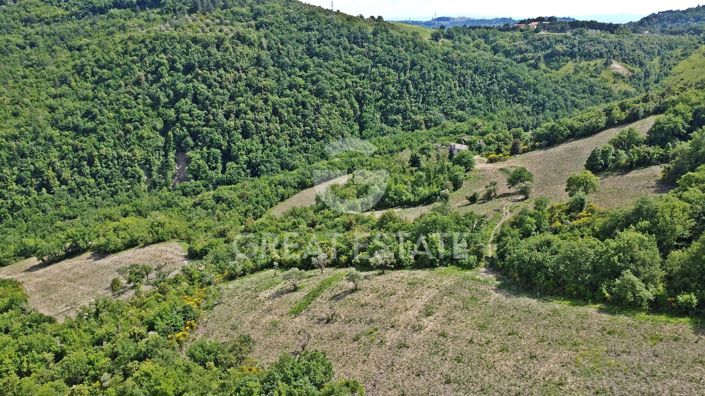 Image No.5-12 Bed Country House for sale