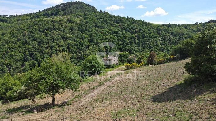 Image No.6-12 Bed Country House for sale