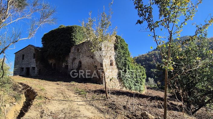 Image No.8-12 Bed Country House for sale