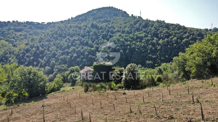 Image No.9-12 Bed Country House for sale