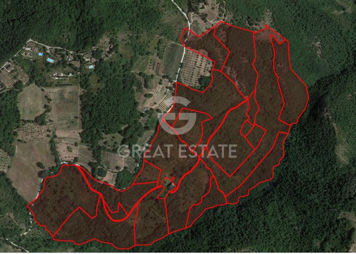 Image No.3-floorplan-3