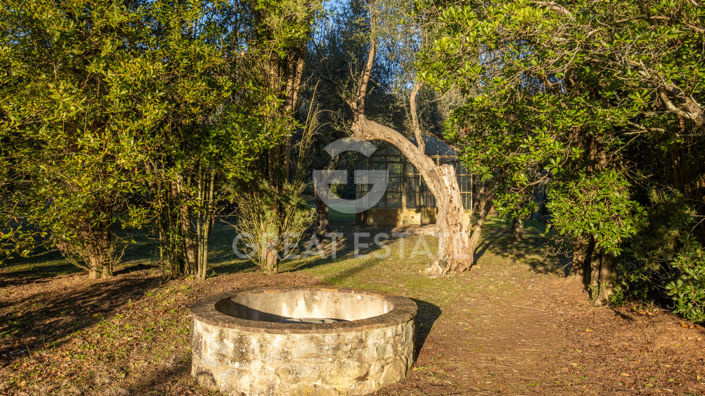 Image No.13-3 Bed Country House for sale