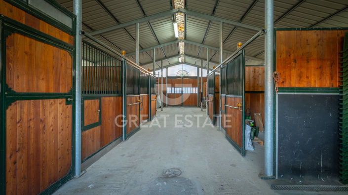 Image No.49-3 Bed Country House for sale