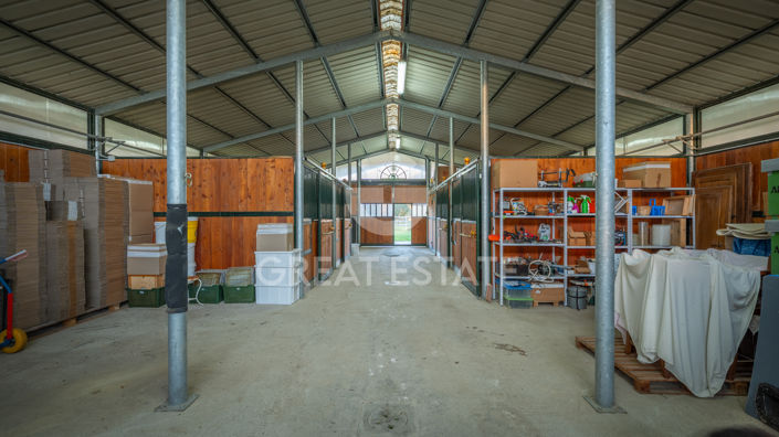 Image No.50-3 Bed Country House for sale