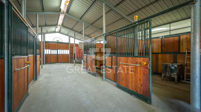 Image No.51-3 Bed Country House for sale