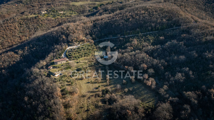 Image No.13-5 Bed Country House for sale