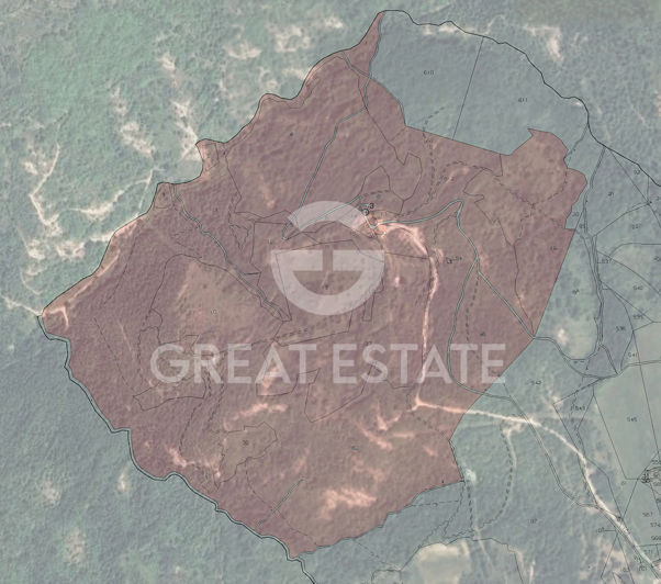 Image No.3-floorplan-3