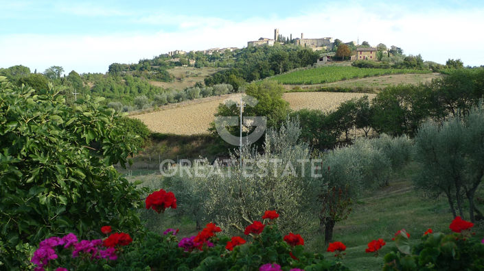 Image No.19-Maison de campagne de 6 chambres à vendre à Radicondoli