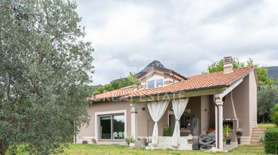 Photo_1
