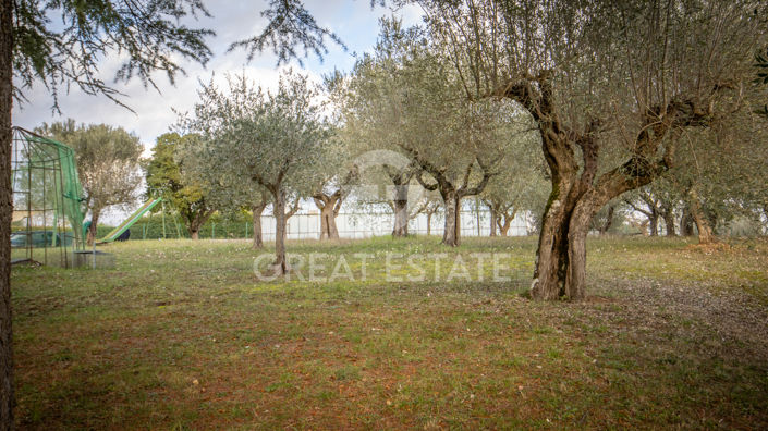 Image No.56-Villa de 7 chambres à vendre à Corciano