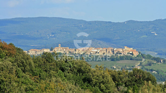 Image No.44-Maison de campagne de 4 chambres à vendre à Volterra