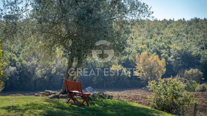 Image No.39-Maison de campagne de 4 chambres à vendre à Castiglione del Lago