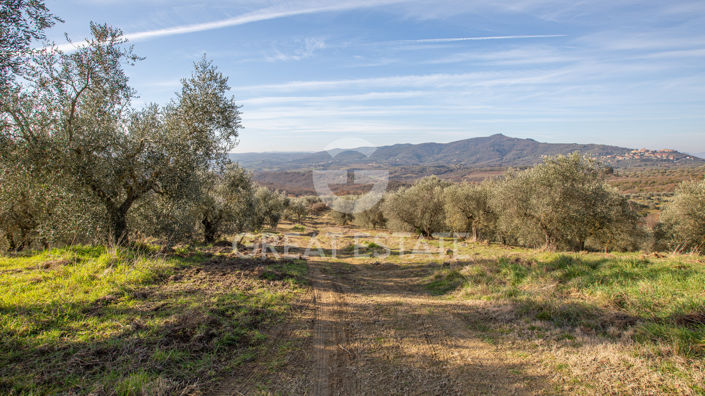 Image No.17-Maison de campagne de 3 chambres à vendre à Panicale