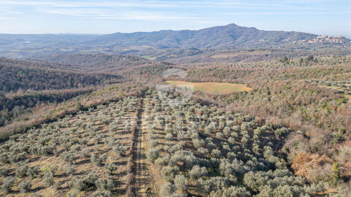 Image No.31-Maison de campagne de 3 chambres à vendre à Panicale