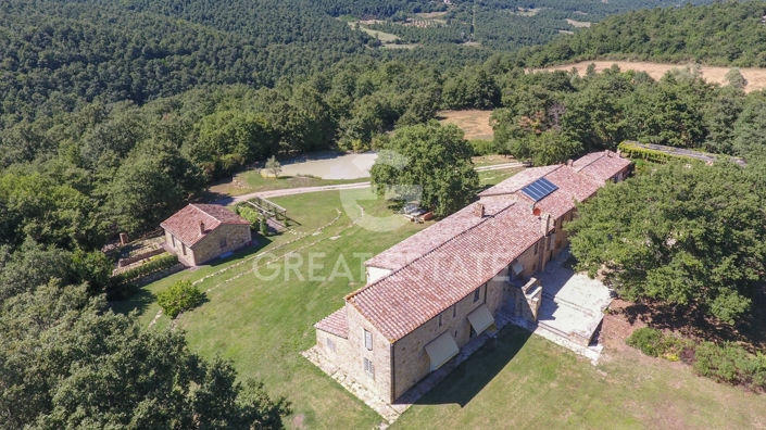 Image No.19-8 Bed Country House for sale