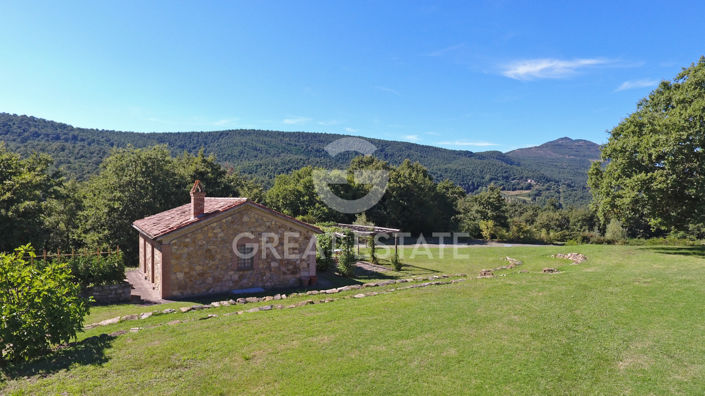 Image No.48-8 Bed Country House for sale