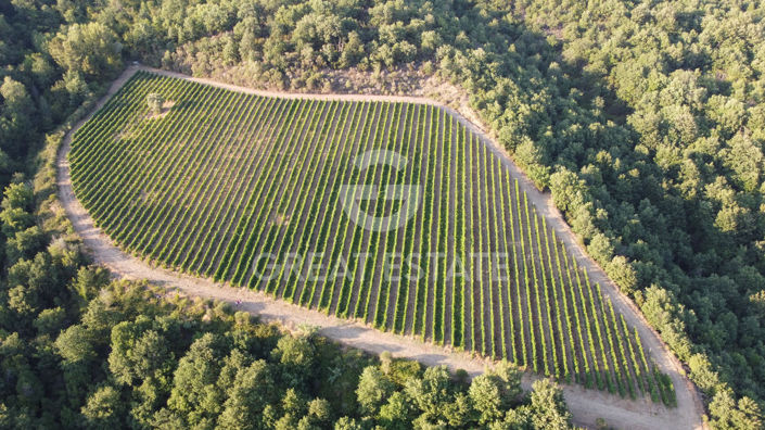 Image No.37-Maison de campagne de 30 chambres à vendre à Cortona
