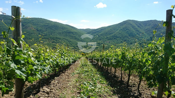 Image No.38-Maison de campagne de 30 chambres à vendre à Cortona
