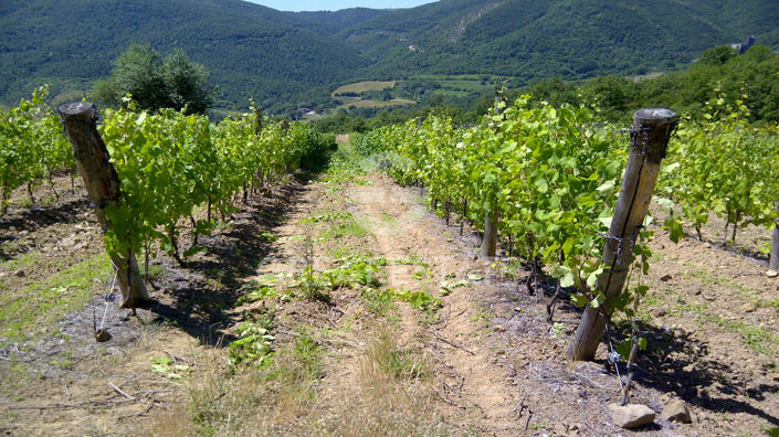 Image No.39-Maison de campagne de 30 chambres à vendre à Cortona