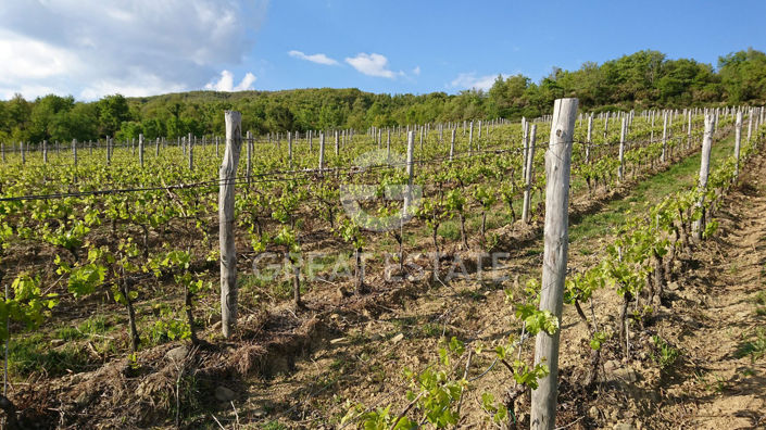 Image No.40-Maison de campagne de 30 chambres à vendre à Cortona