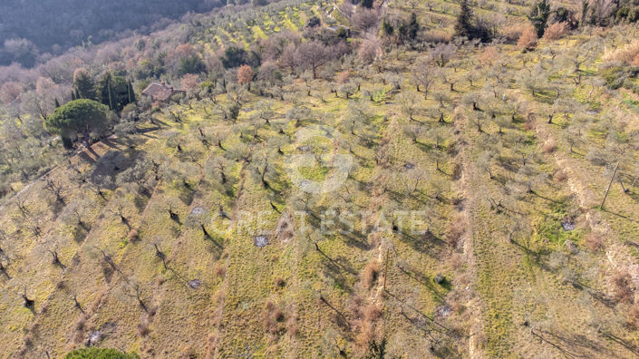 Image No.33-Maison de campagne de 7 chambres à vendre à Cortona