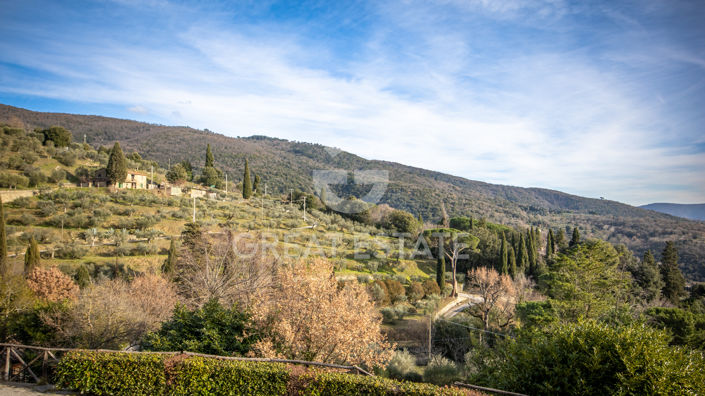 Image No.45-Maison de campagne de 7 chambres à vendre à Cortona