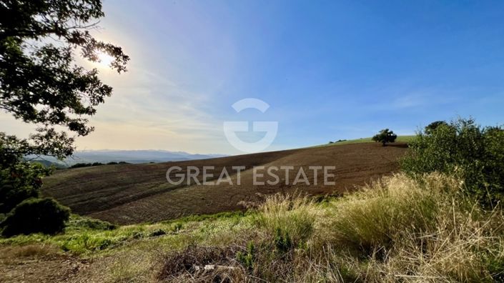 Image No.37-Ferme de 5 chambres à vendre à Campagnatico