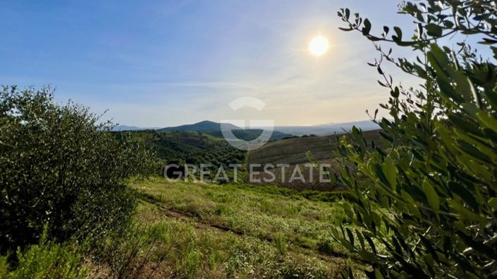Image No.38-Ferme de 5 chambres à vendre à Campagnatico