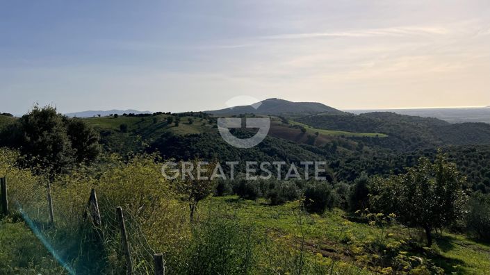 Image No.40-Ferme de 5 chambres à vendre à Campagnatico