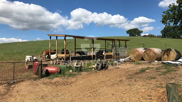 Image No.41-Ferme de 5 chambres à vendre à Campagnatico