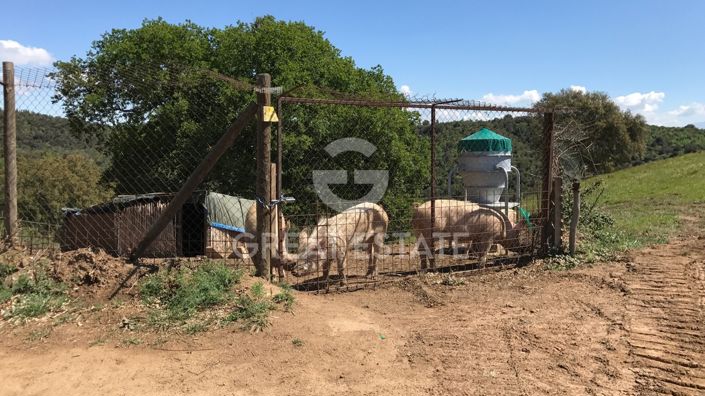 Image No.44-Ferme de 5 chambres à vendre à Campagnatico