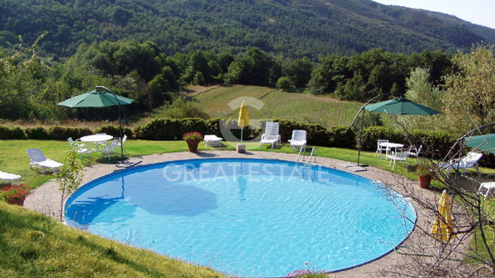 Image No.42-7 Bed Country House for sale