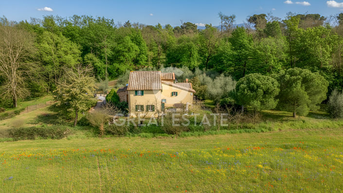 Image No.4-Maison de campagne de 3 chambres à vendre à Castiglione del Lago