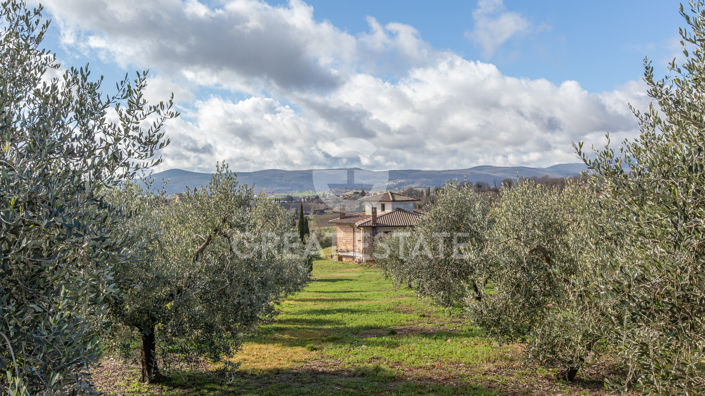 Image No.8-2 Bed Country House for sale